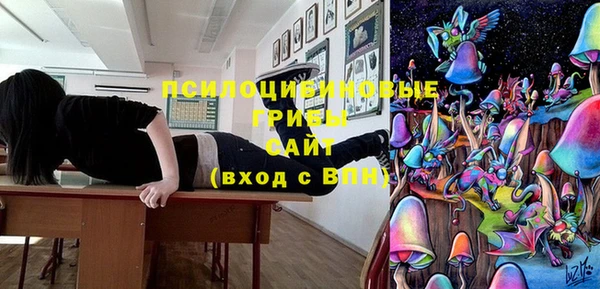 ECSTASY Алексеевка