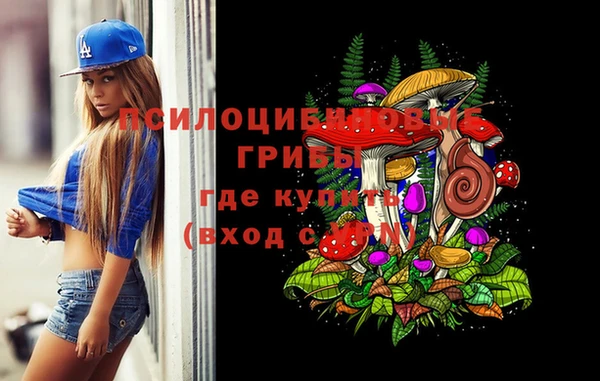 ГАЛЛЮЦИНОГЕННЫЕ ГРИБЫ Алексин