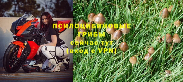 прущий лед Алзамай